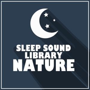 ดาวน์โหลดและฟังเพลง Morning Bird Hide พร้อมเนื้อเพลงจาก Sleep Sound Library