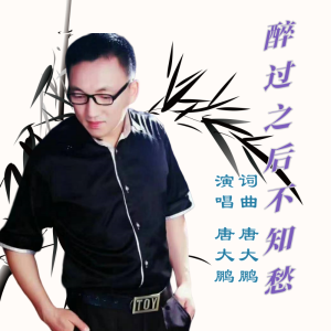 Listen to 醉过之后不知愁 (完整版) song with lyrics from 唐大鹏