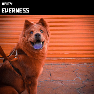 ดาวน์โหลดและฟังเพลง Everness พร้อมเนื้อเพลงจาก Abity