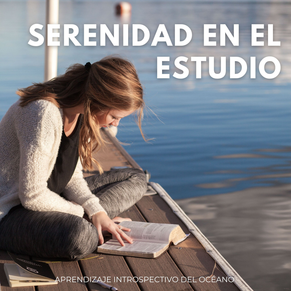 Estudio Oceánico De Oasis De Serenidad E Introspección