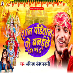 Listen to San Panditan Ke Banaile Rahiaa Mai Ho song with lyrics from Avinash Pandey "Bajrangi"