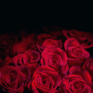Listen to Still Holding On song with lyrics from Ischariotzcky