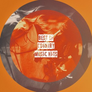 Listen to American Kids song with lyrics from Amarillo Cowboys
