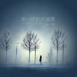 乐小菲的专辑第一次的不温柔