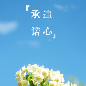 Album 违心承诺 from 程瑾