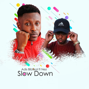 Album Slow Down from Adis Biblikal
