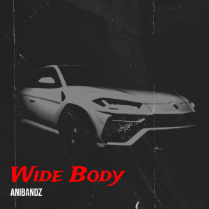Listen to Wide Body (Explicit) song with lyrics from Anibandz