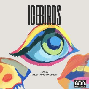 Album Iceman (Explicit) from Icebirds