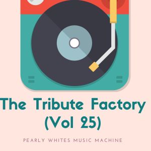 Various Artists的專輯The Tribute Factory (Vol 25)
