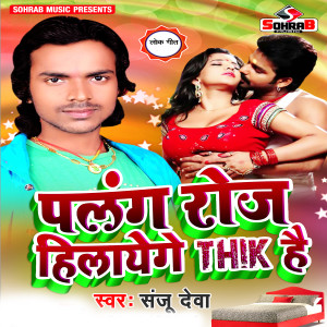Listen to Palang Roj Hilayenge Thik Hai song with lyrics from Sanju Deva