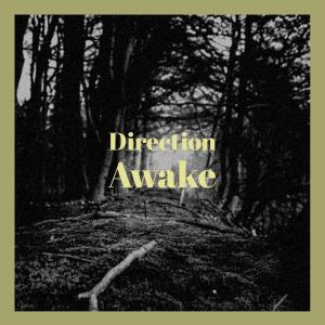 Listen to Look Acquittal song with lyrics from Juna Mahire