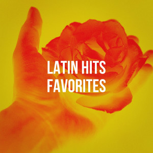 Romantico Latino的專輯Latin Hits Favorites