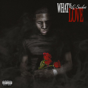Album What Is Love (Explicit) from Li Socket
