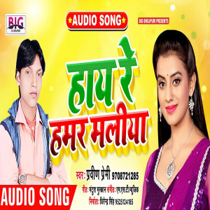 Listen to Hay Re Hamar Maliya song with lyrics from Praveen Premi