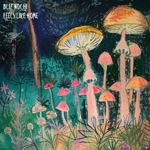 Album Feels Like Home from Bliz Nochi