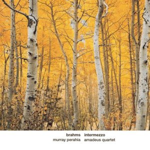 收聽Murray Perahia的Piano Quartet No. 1 in G Minor, Op. 25: III. Andante con moto歌詞歌曲