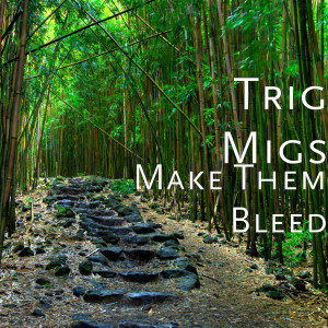 ดาวน์โหลดและฟังเพลง Best of Luck (Explicit) พร้อมเนื้อเพลงจาก Trig Migs