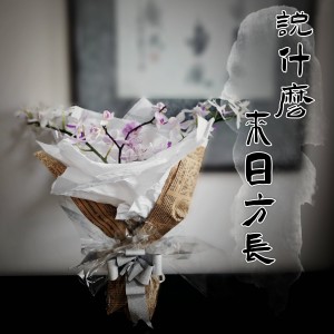 Album 说什么来日方长 from 谢佳卿