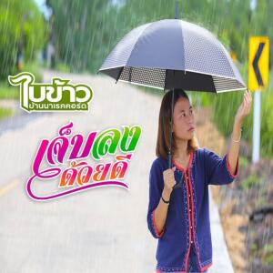 ใบข้าว บ้านนาเรคคอร์ด