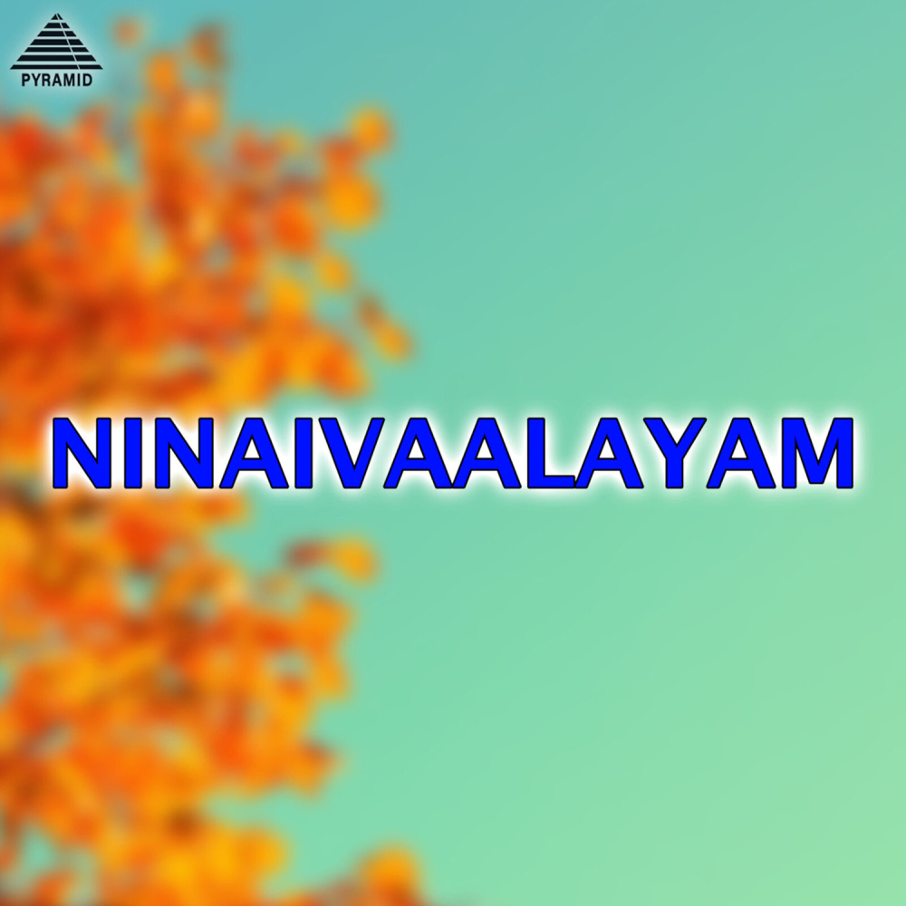 Salangaiyil