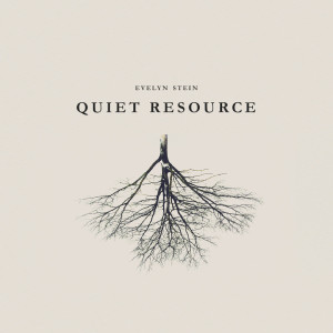 Evelyn Stein的專輯Quiet resource