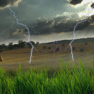 Album White Noise Rain Sounds for Sleeping from Monu
