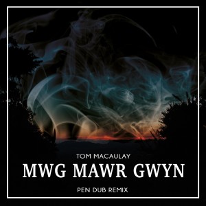 ดาวน์โหลดและฟังเพลง Mwg Mawr Gwyn (Pen Dub Remix Instrumental) พร้อมเนื้อเพลงจาก Tom Macaulay