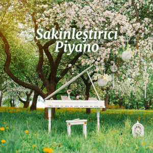 Listen to Rahatlatıcı Piyano song with lyrics from Instrumental Jazz Music Ambient