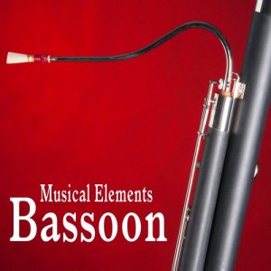 收聽Sound Ideas的Bassoon Laughing Accent歌詞歌曲