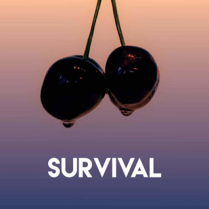 Listen to Survival song with lyrics from Stereo Avenue