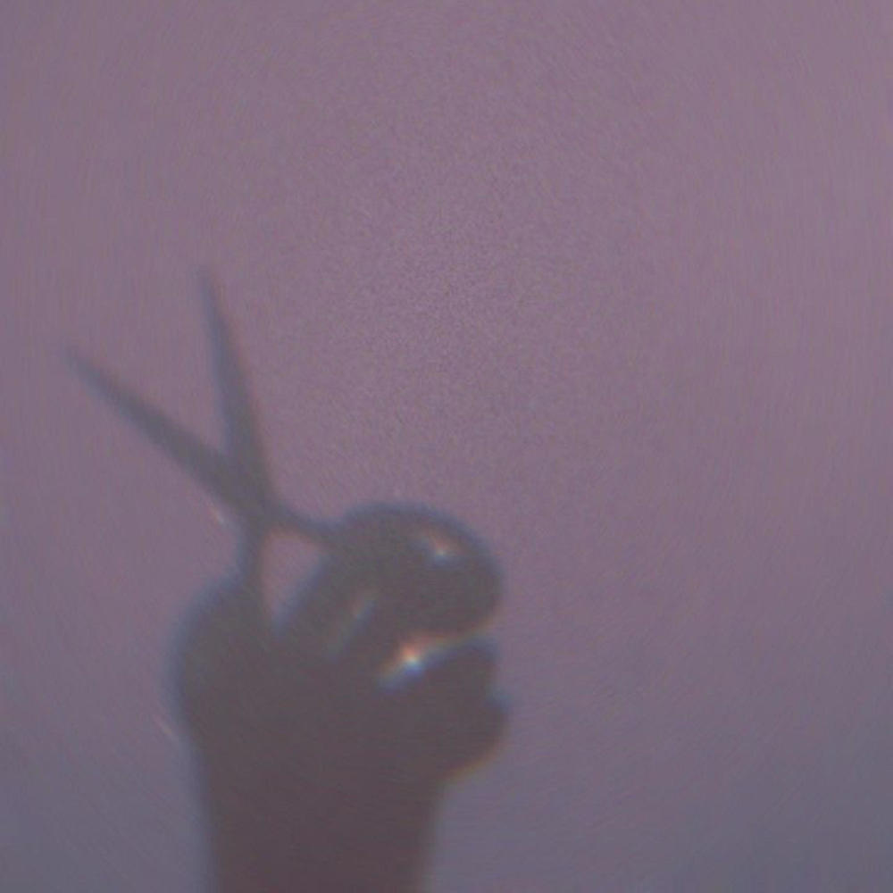 BIPOLAR (feat. NOVXMBXR!) (Explicit)