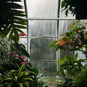 收听Deep Sleep的Peaceful歌词歌曲