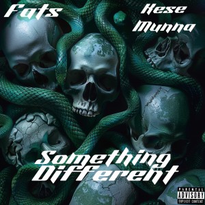 收聽Fats的Something Different (Explicit)歌詞歌曲
