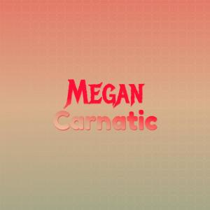 ดาวน์โหลดและฟังเพลง Megan Carnatic พร้อมเนื้อเพลงจาก Waden Lica