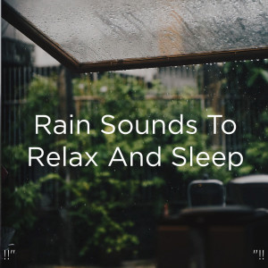Listen to Rain Sound song with lyrics from Meditation Rain Sounds