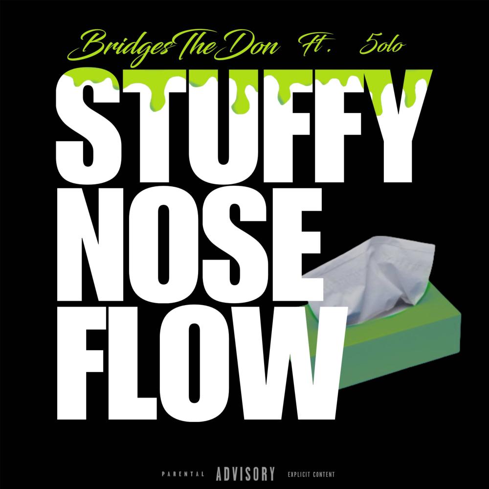 Stuffy Nose Flow (feat. 5olo) (Explicit)