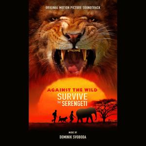 Listen to Reunion song with lyrics from Dominik Svoboda