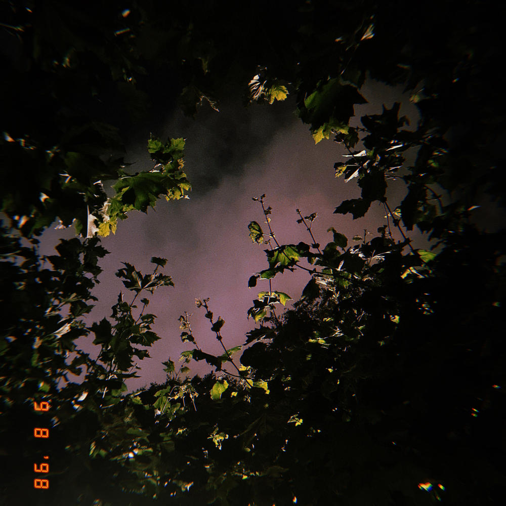 Life is a Gift (Freestyle) (Explicit)