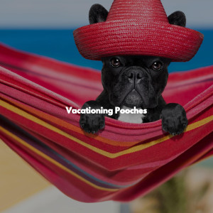 Study Jazz的專輯Vacationing Pooches