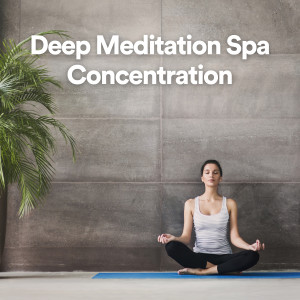 Album Deep Meditation Spa Concentration oleh Lullabies for Deep Meditation