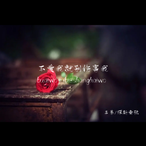 Album 不爱我就别伤害我 from 三弟