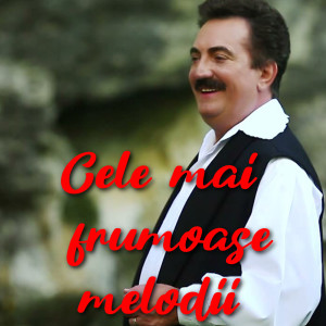 Listen to Muzică populară românească de petrecere song with lyrics from Petrică Mîțu Stoian
