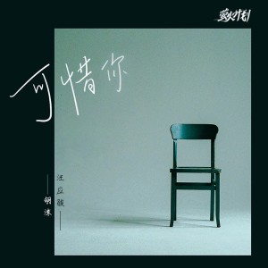 Album 可惜你 oleh 胡沫