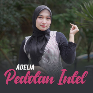 Album Pedotan Intel from Adelia