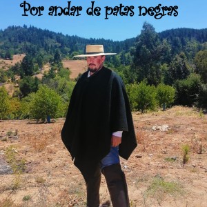 收聽Los tremendos laureles的Por Andar de Patas Negras歌詞歌曲