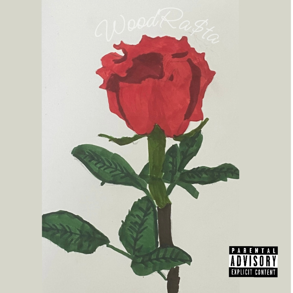 Business Plans (Explicit)