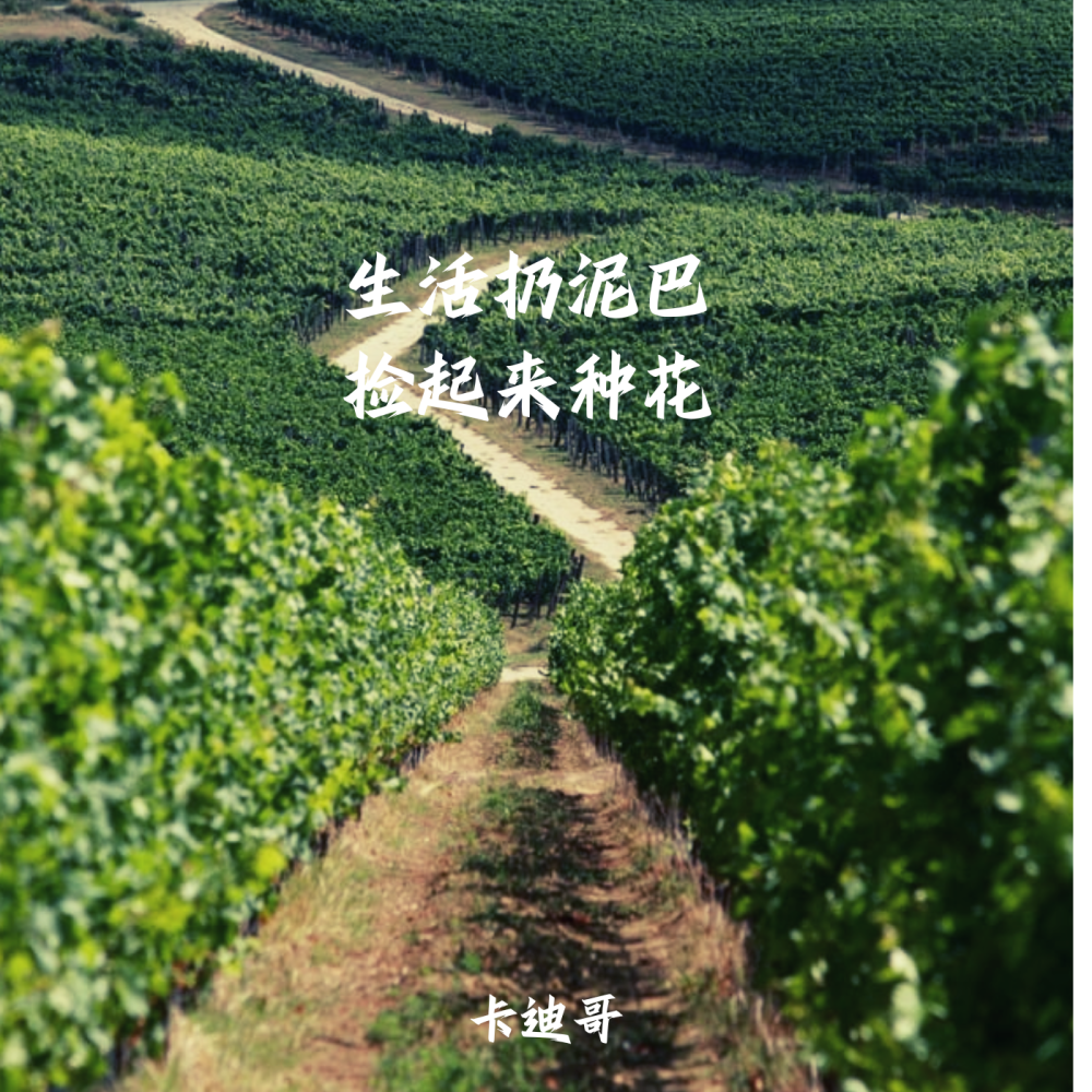 生活扔泥巴 捡起来种花
