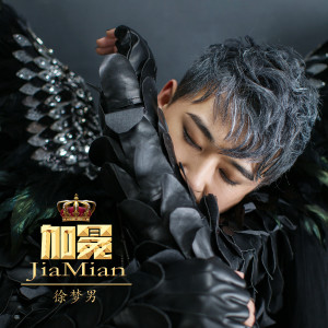 Listen to 加冕 (伴奏) song with lyrics from 徐梦男