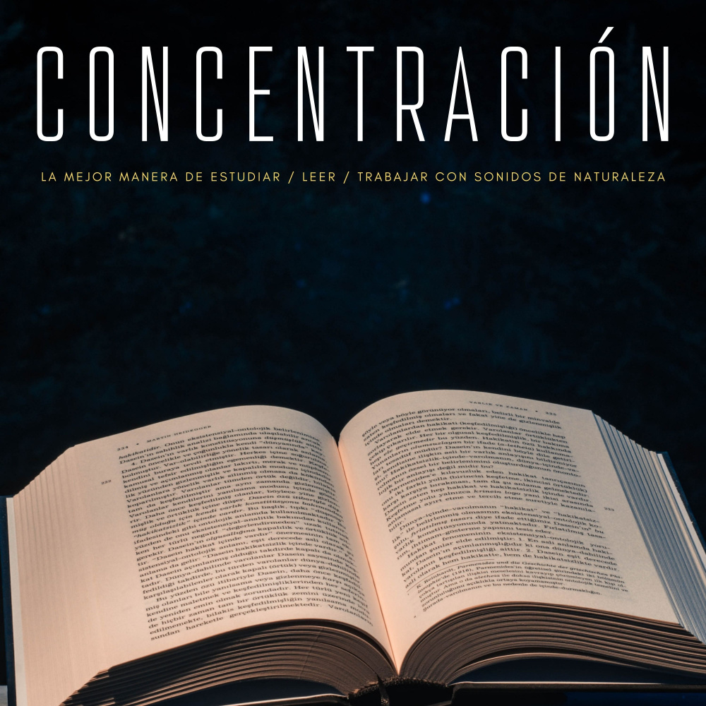 Enfoque y Pensamientos
