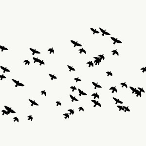 Listen to Flight song with lyrics from Oatmello